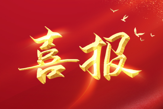 喜报 | OD·综合体育荣登2024粤港澳大湾区企业创新力榜单